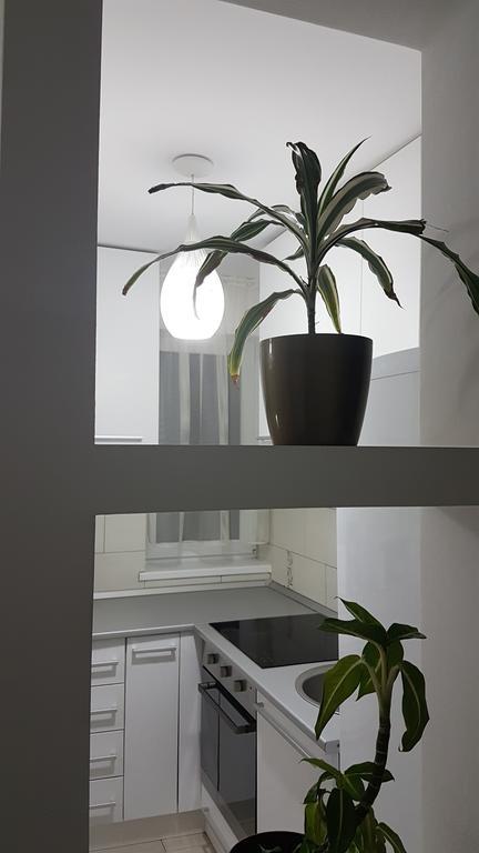Cluj Lux Apartment Taberei Extérieur photo